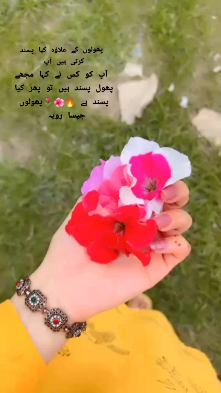 @NAIMA ABBASI♥️