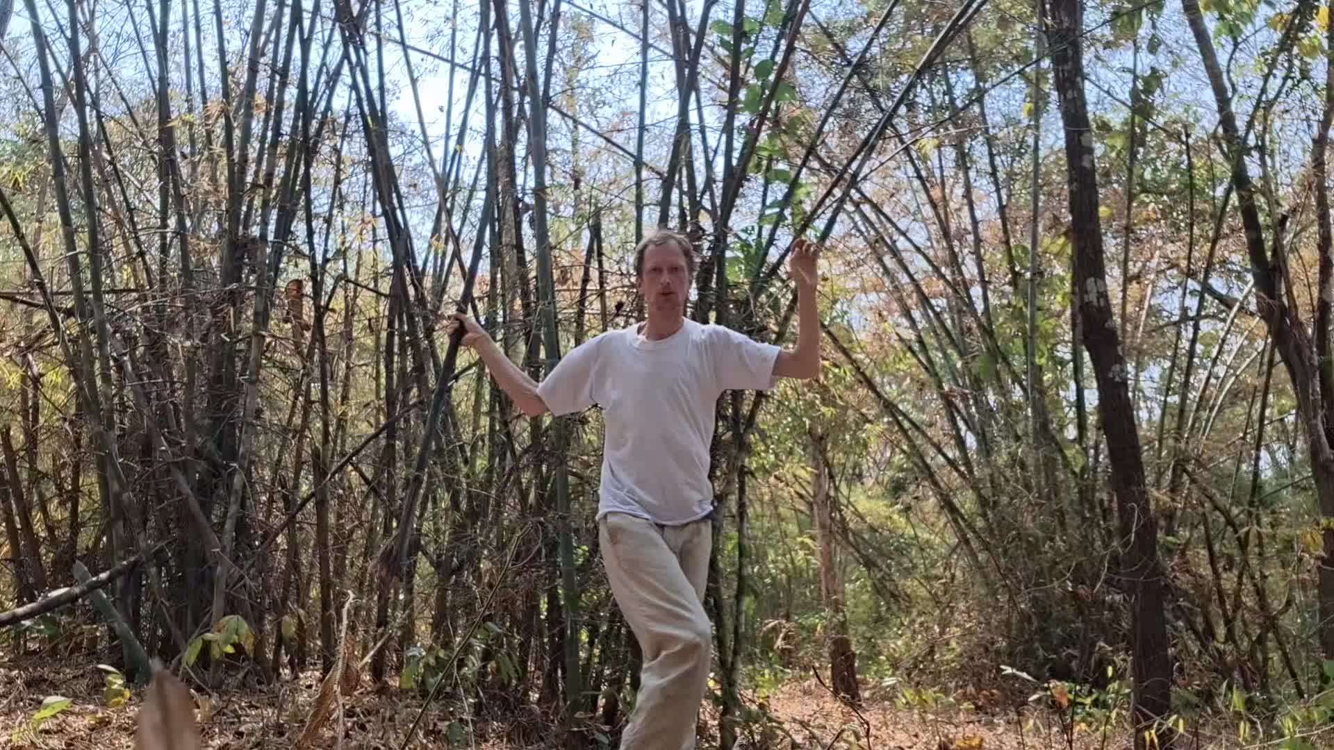 @shaolinkungfu