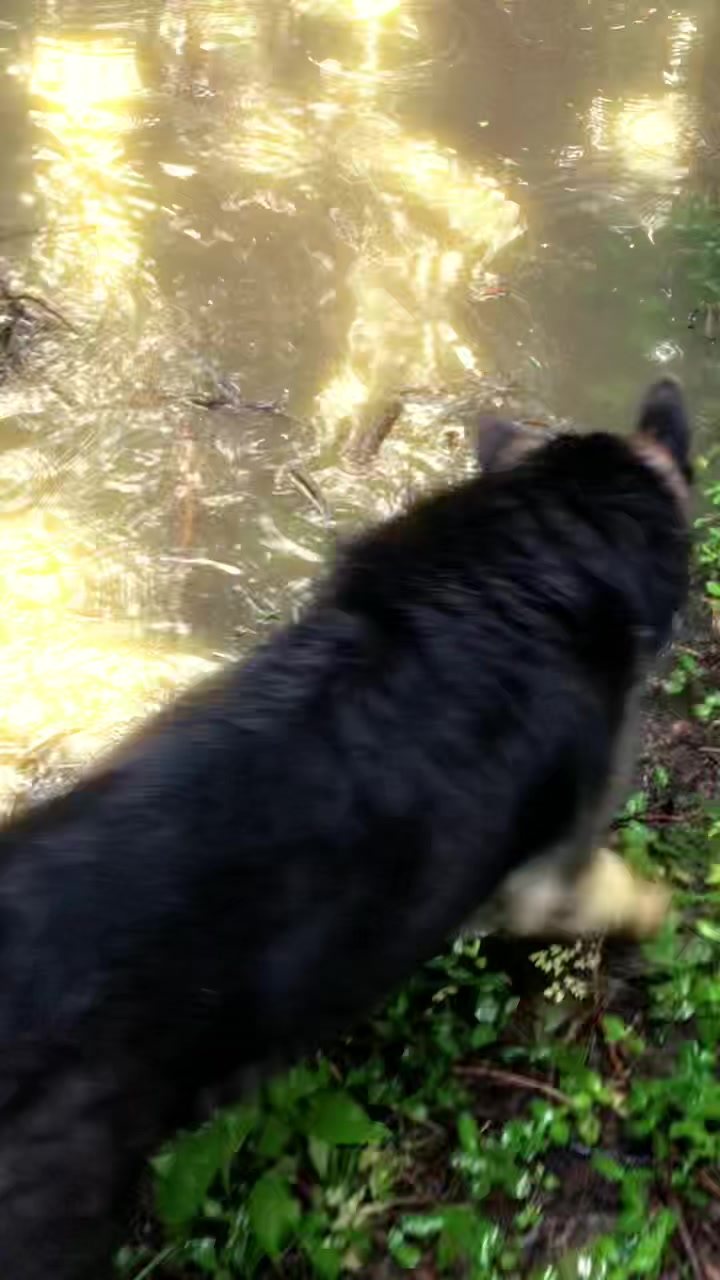 @MERCURY_GSD_24_7