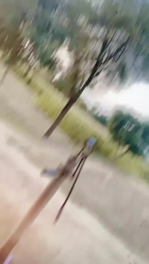 @SH&Atilde;H S&atilde;h&igrave;b