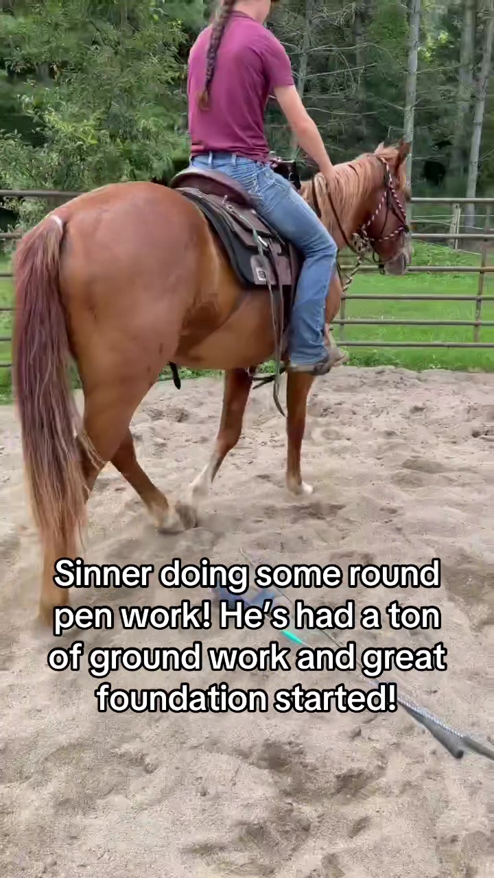 @K&R Performance Horses
