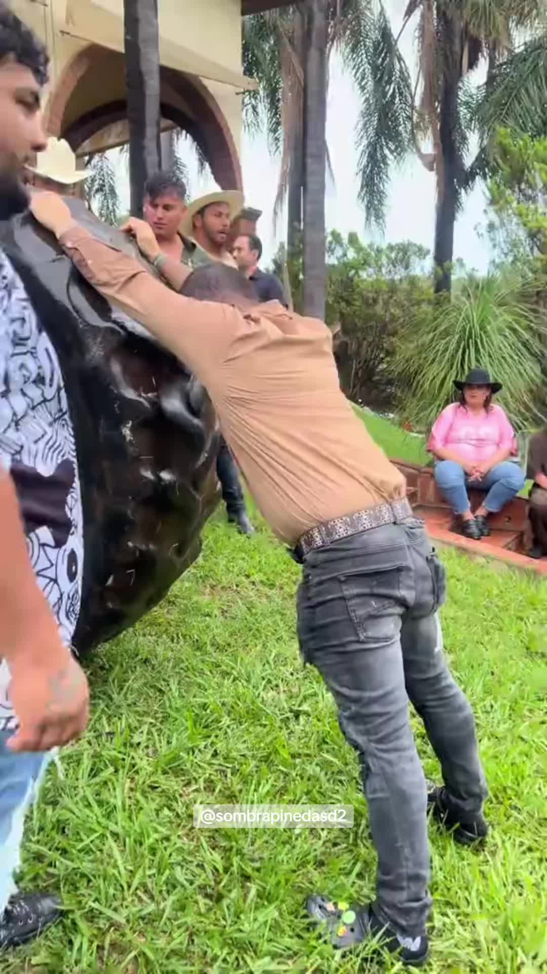 @SOMBRApinedaSD2