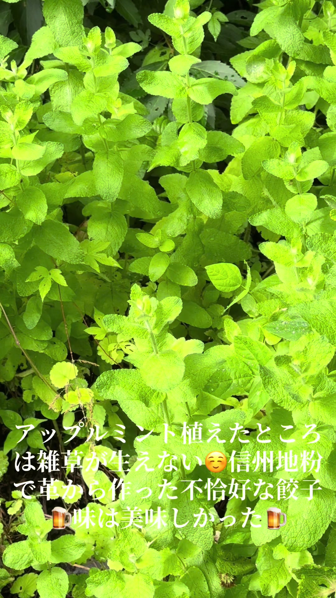 @なるみ（narumi）