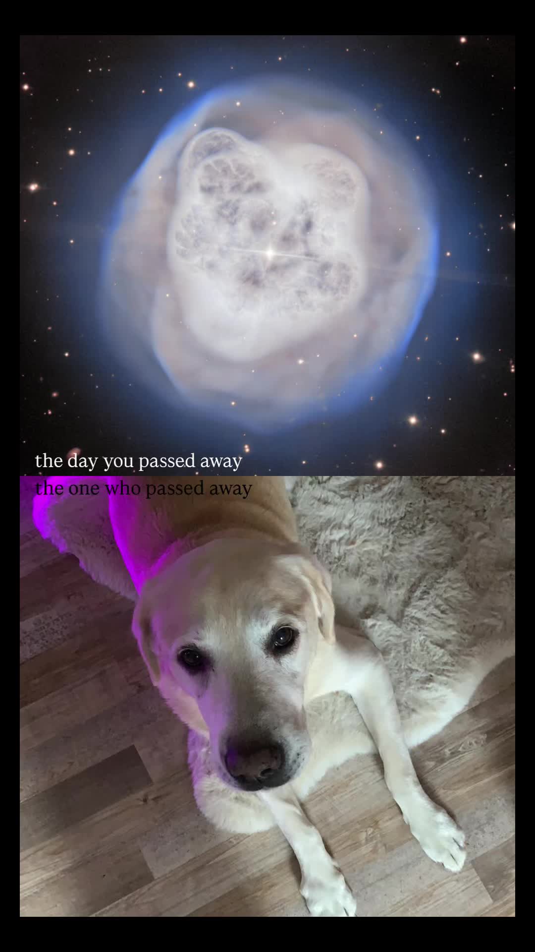 @;