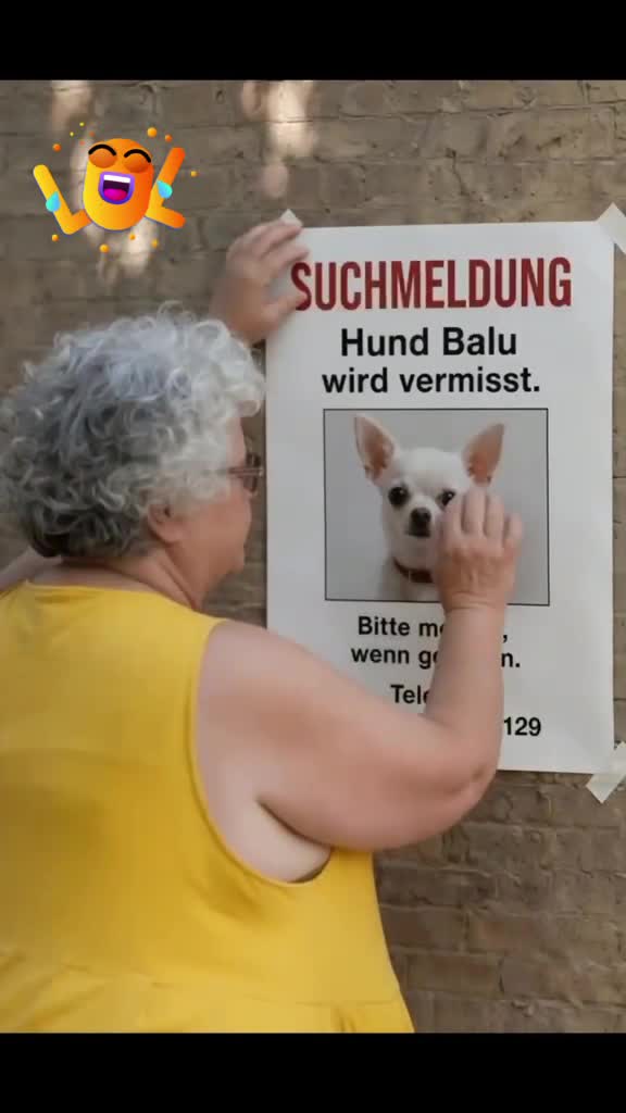 @Heikneuter41