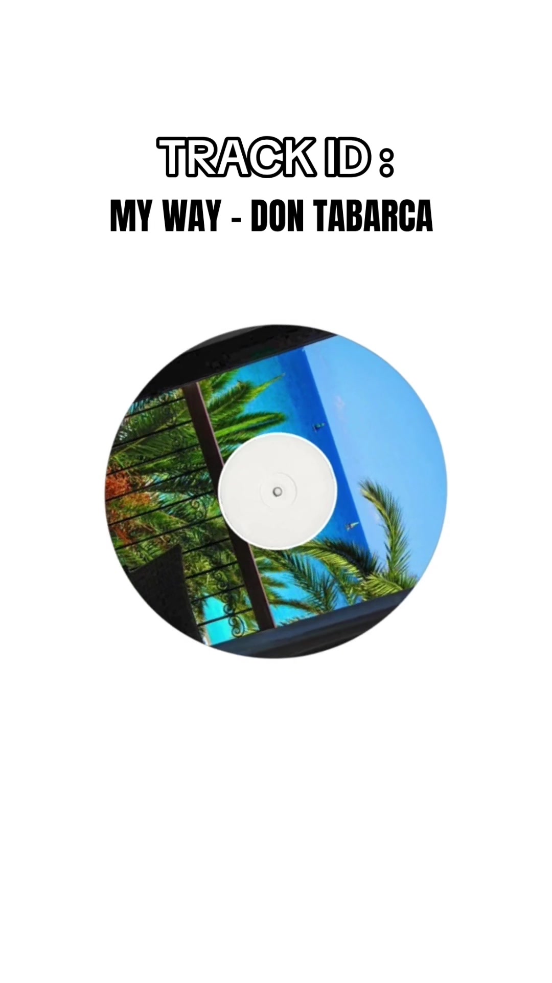 @Don Tabarca