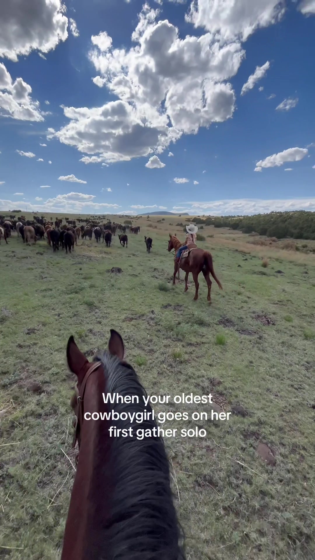 @cowgirlcommentary