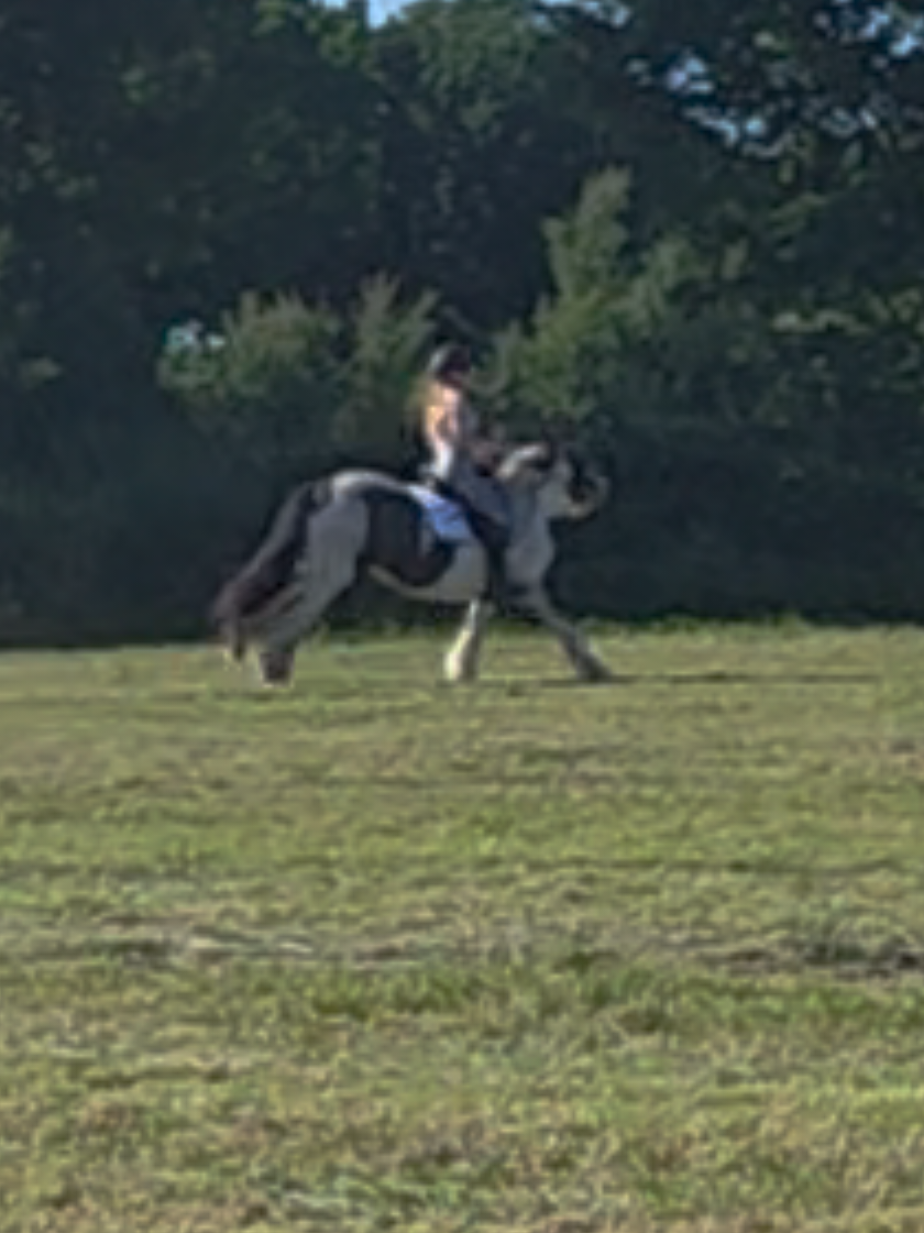@Josys_Ponyhof-leben