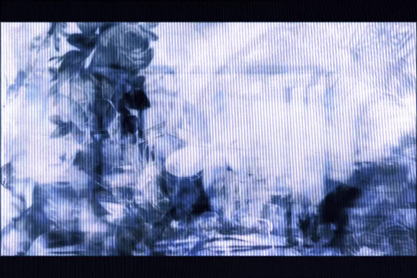 @[б]
