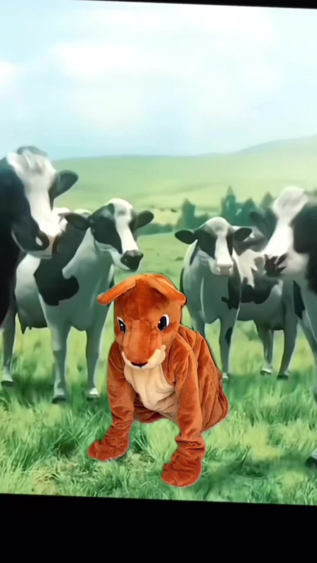@KangarooHanger