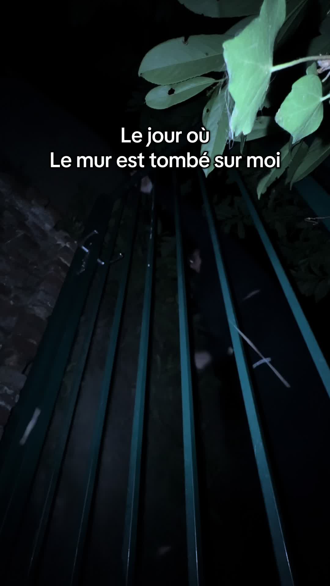 @emzouille_