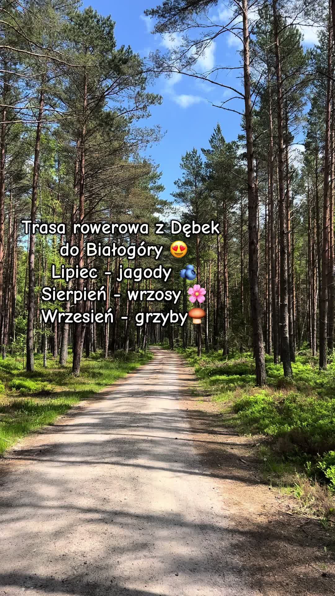 @Villa Norda Dębki 🇵🇱