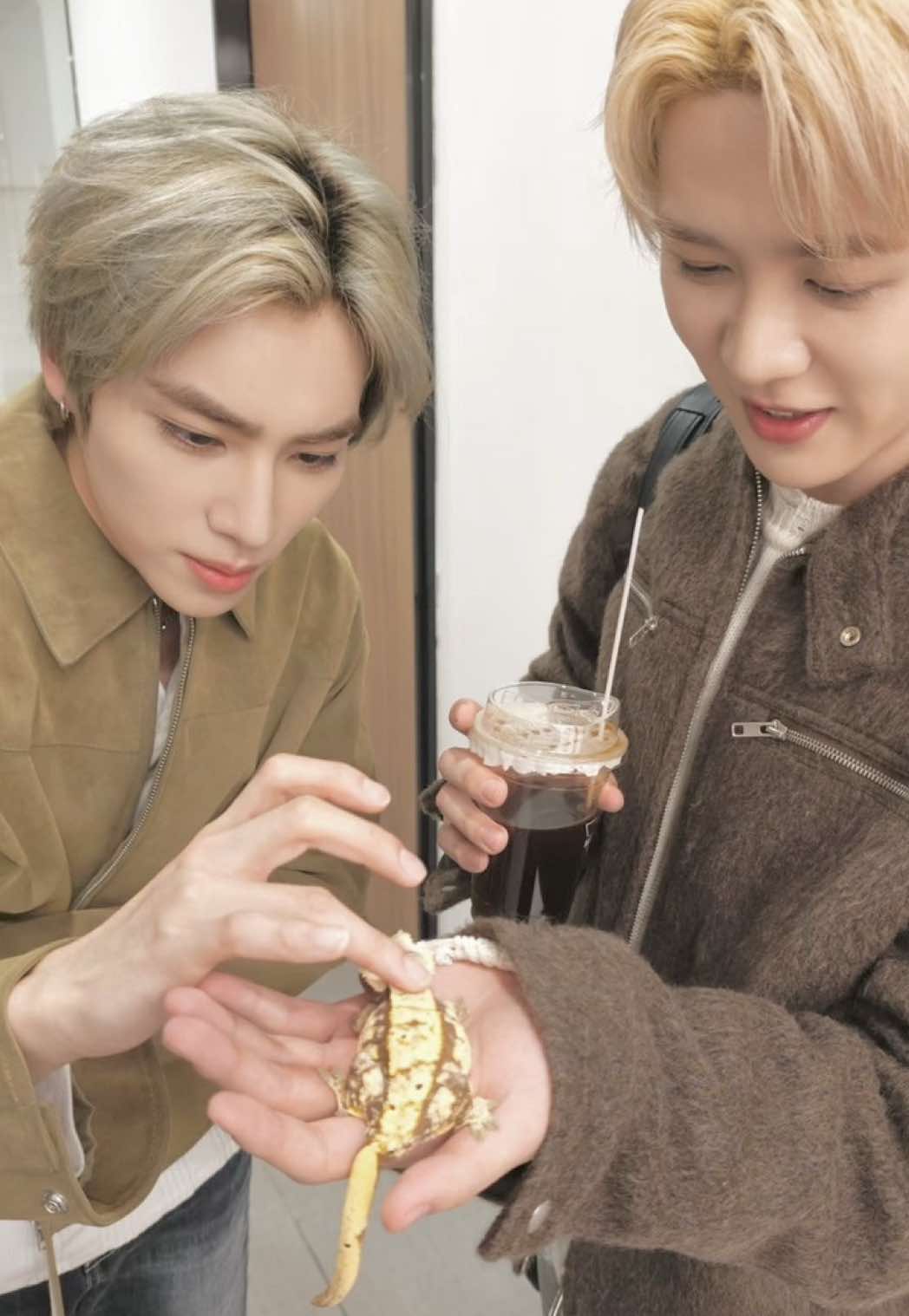 @mina ꕤ。˚⋆