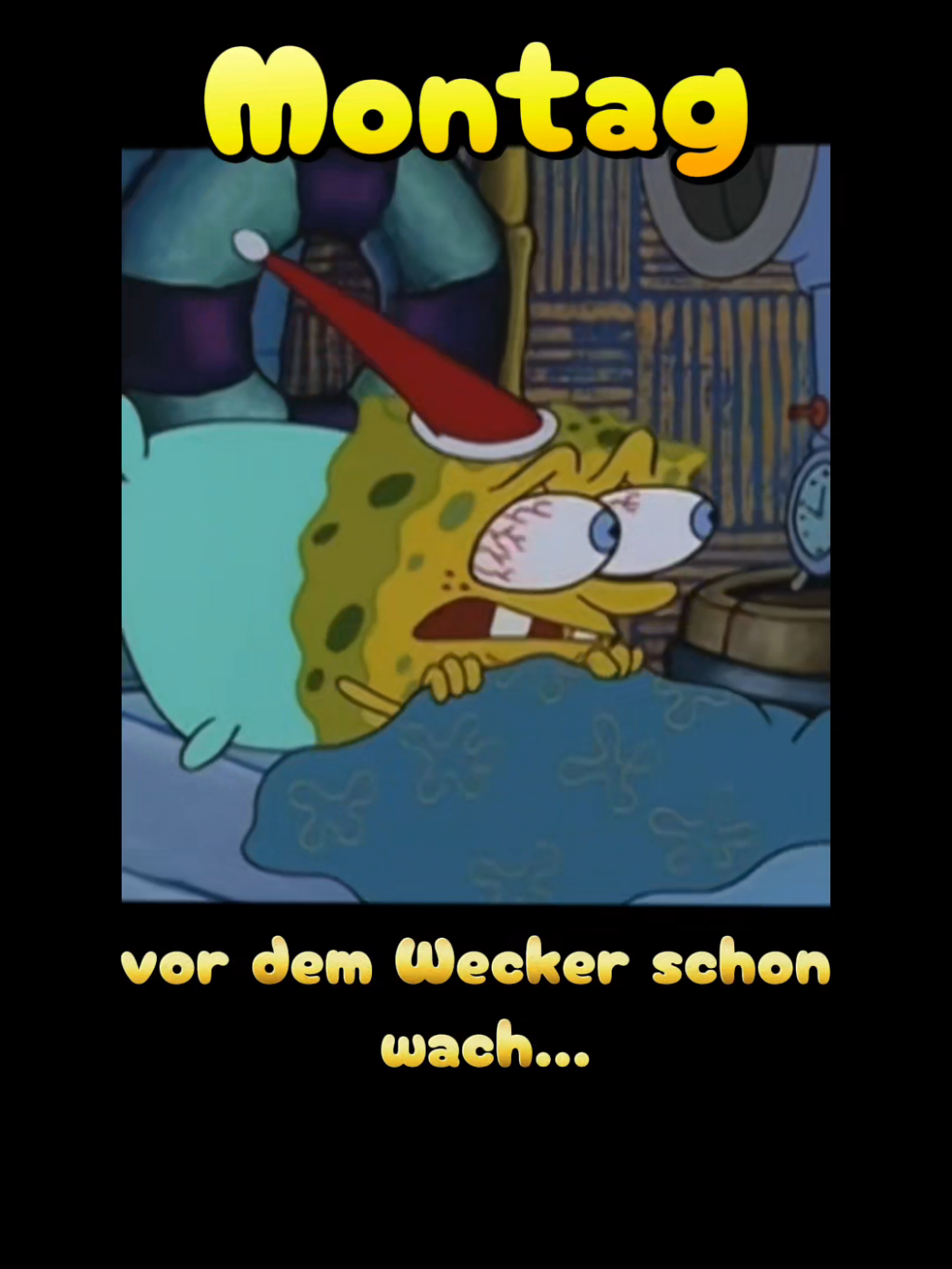 @zahnzaubermaeuschen