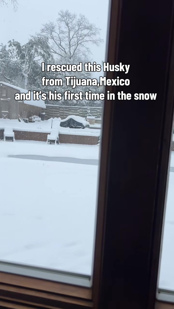 @freezinghusky