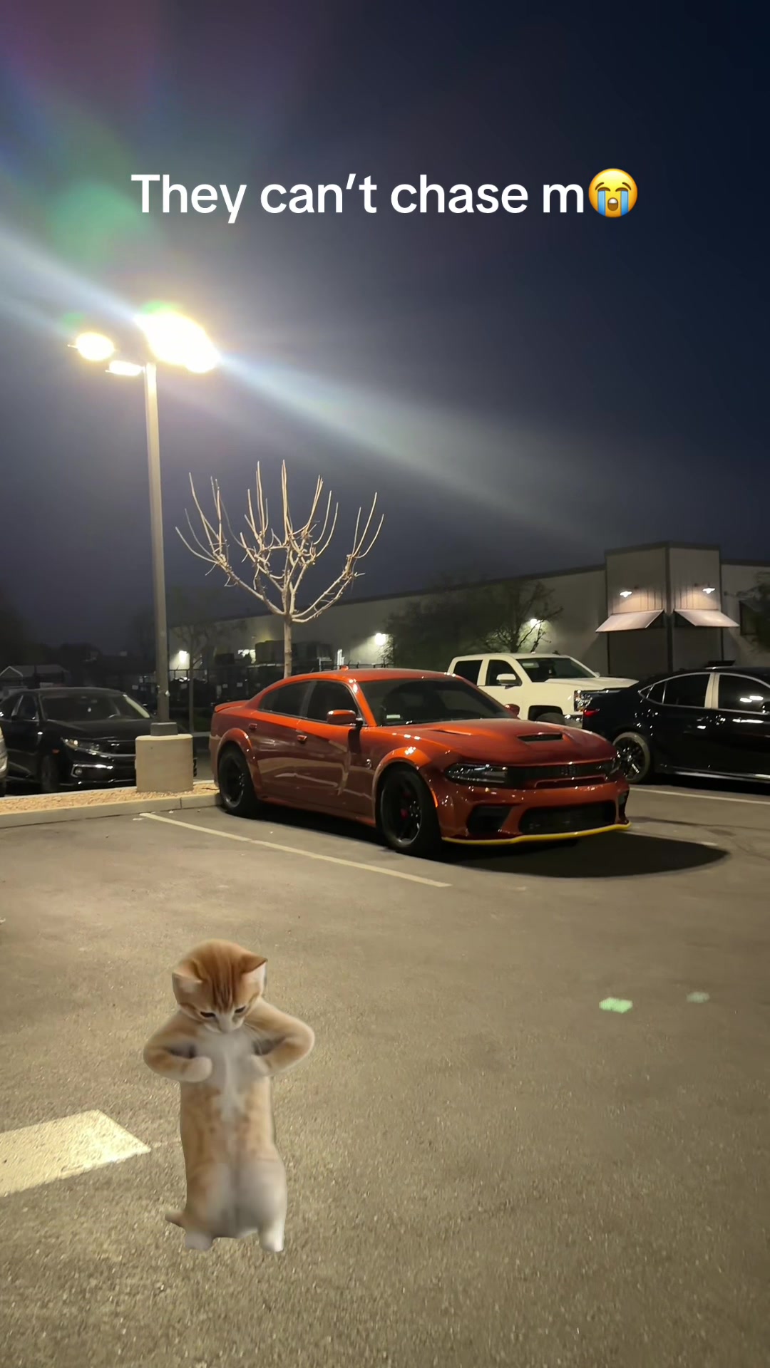 @v8hrmn