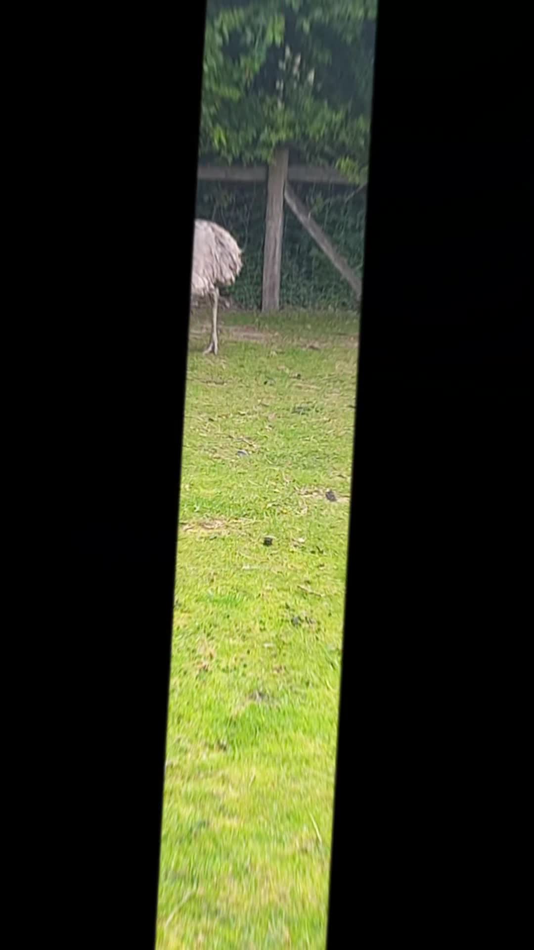 @🦚🆃𝓲𝓮𝓻🅿𝓪𝓻𝓴🆃𝓸𝓴🦚