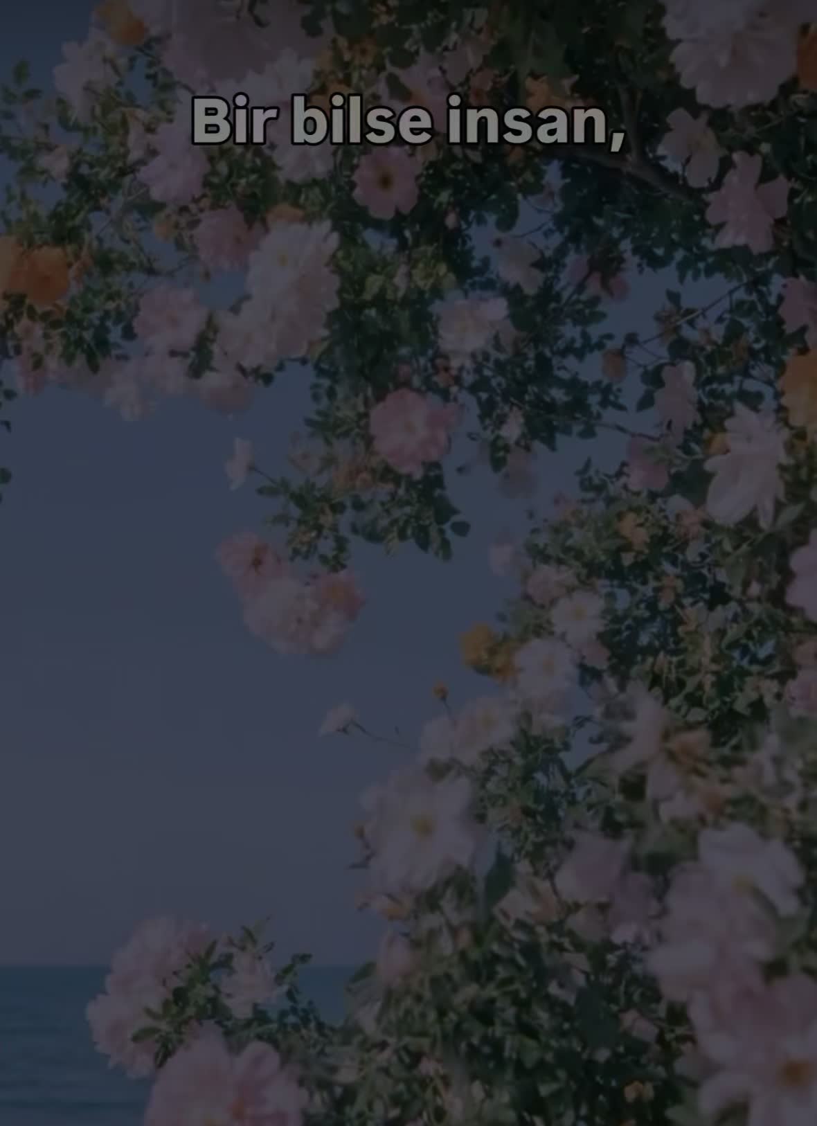 @İslam sayfası 🌸