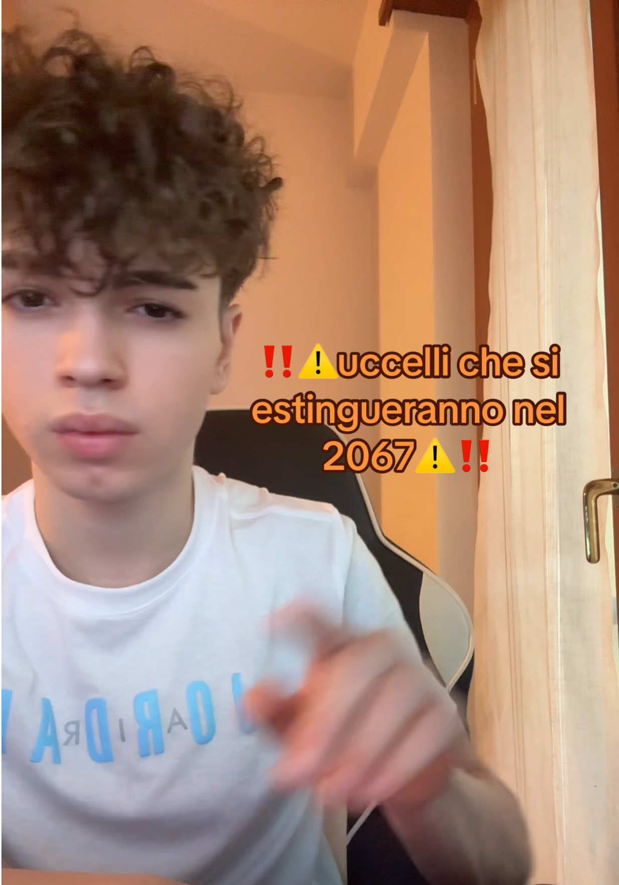@nico7degia