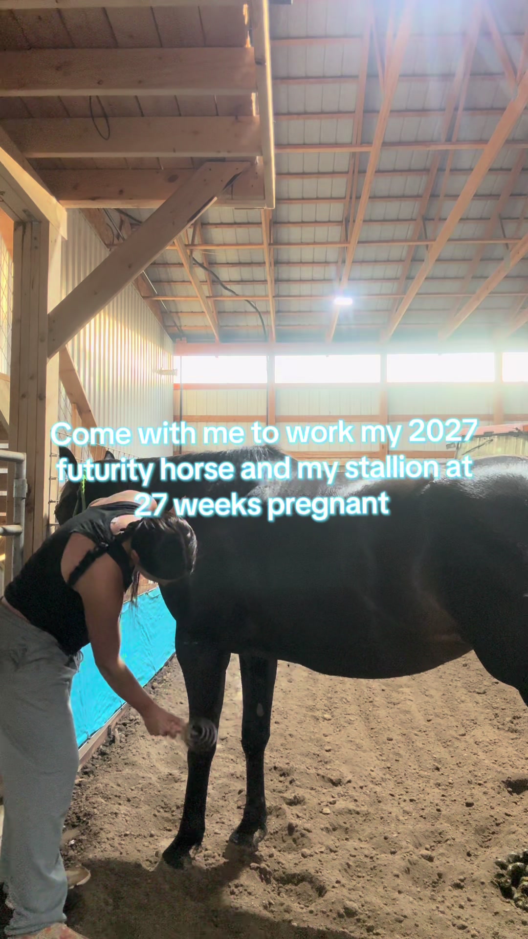 @Living Lucky Quarter Horses