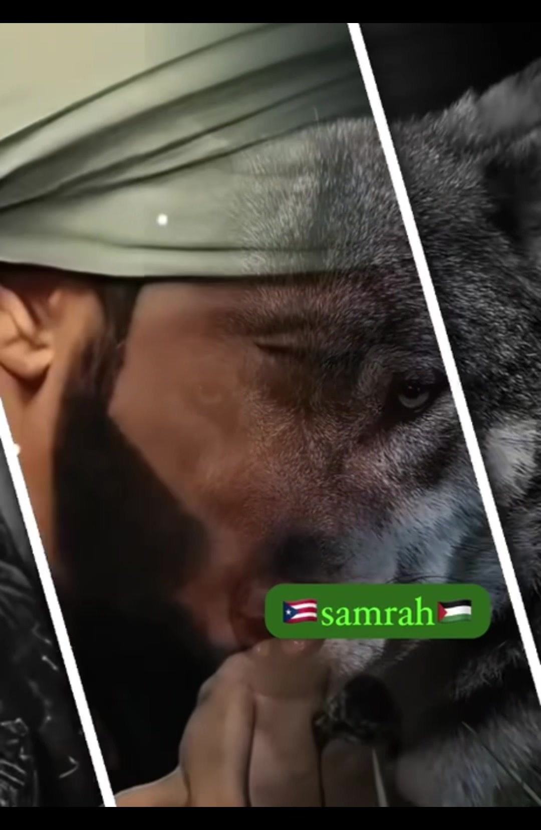 @Samrah888