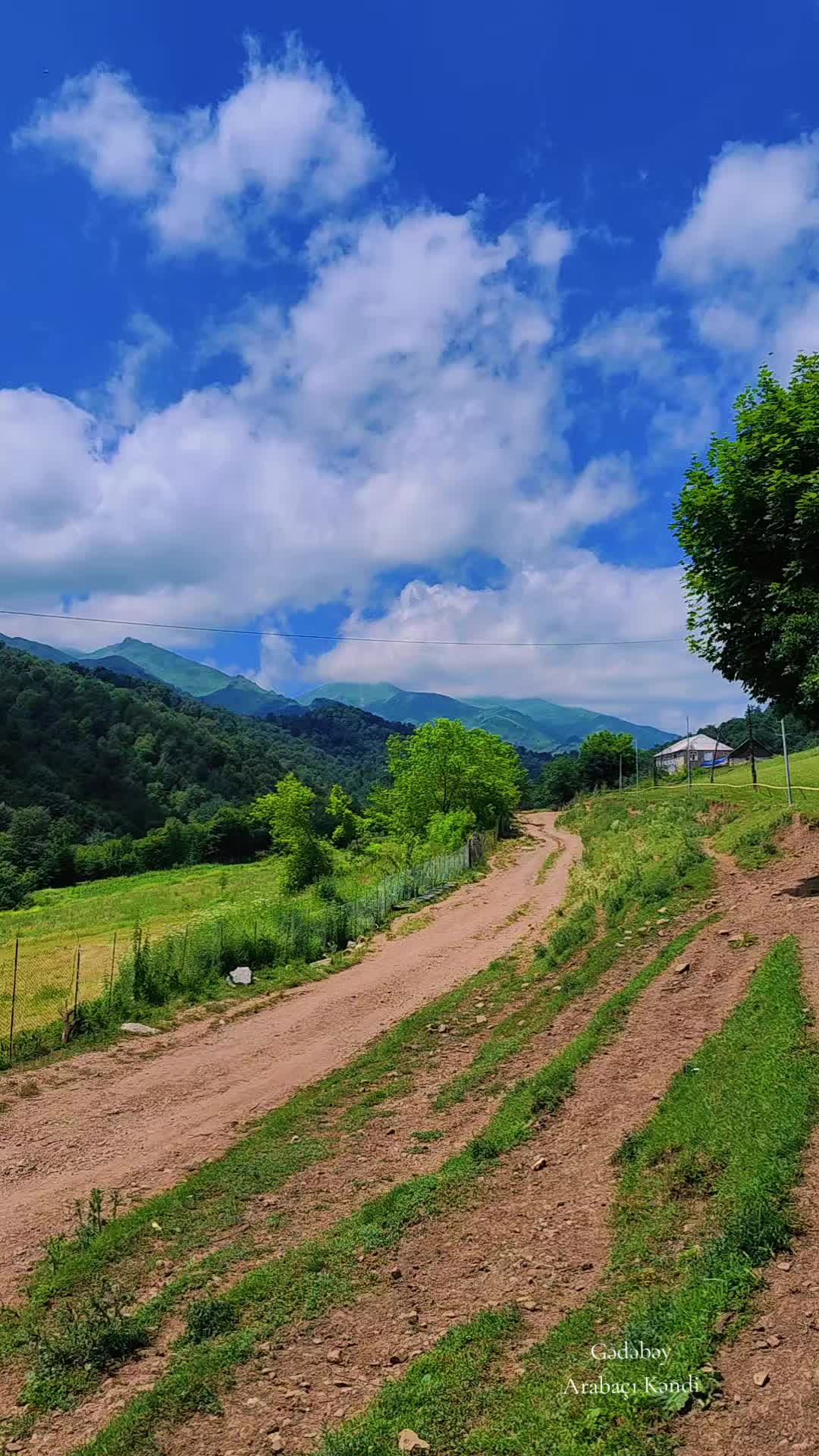 @Anar_Əliyev