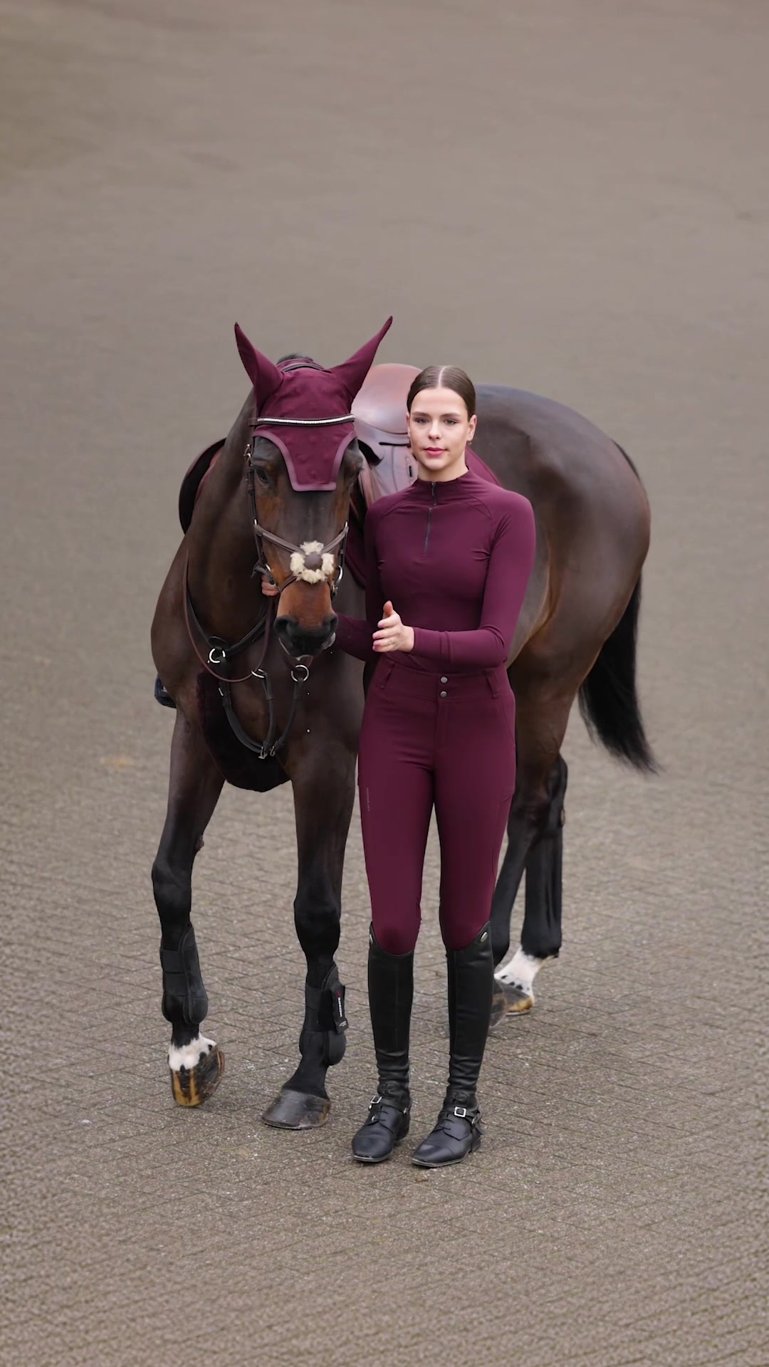 @Maximilian Equestrian