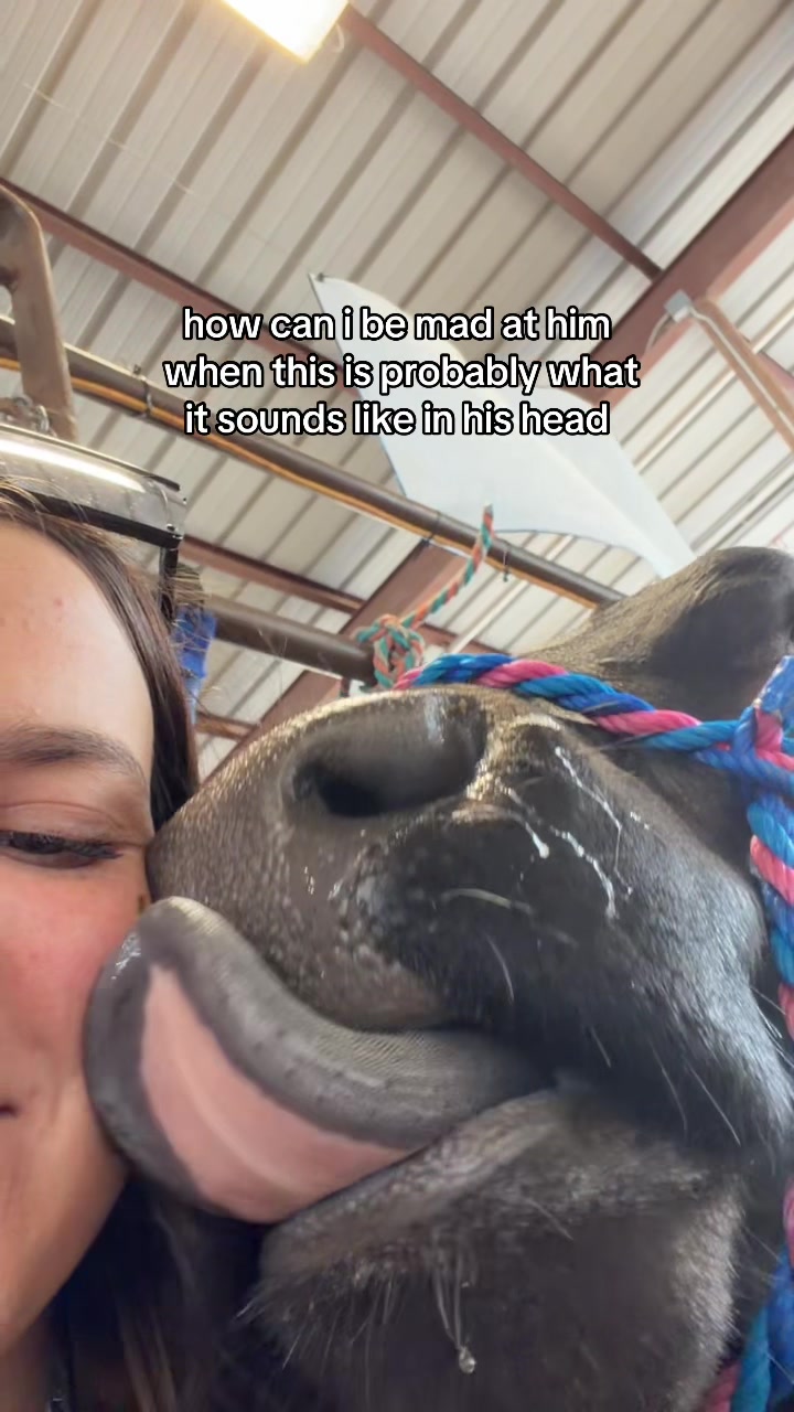 @Kaleigh