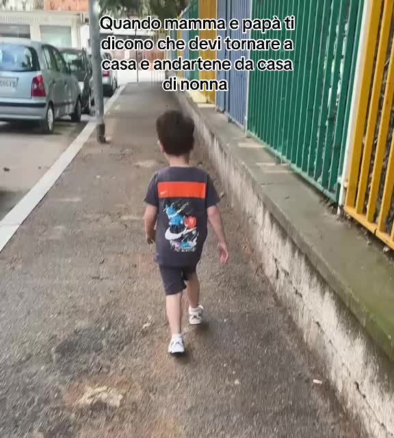 @Moanaverzicco