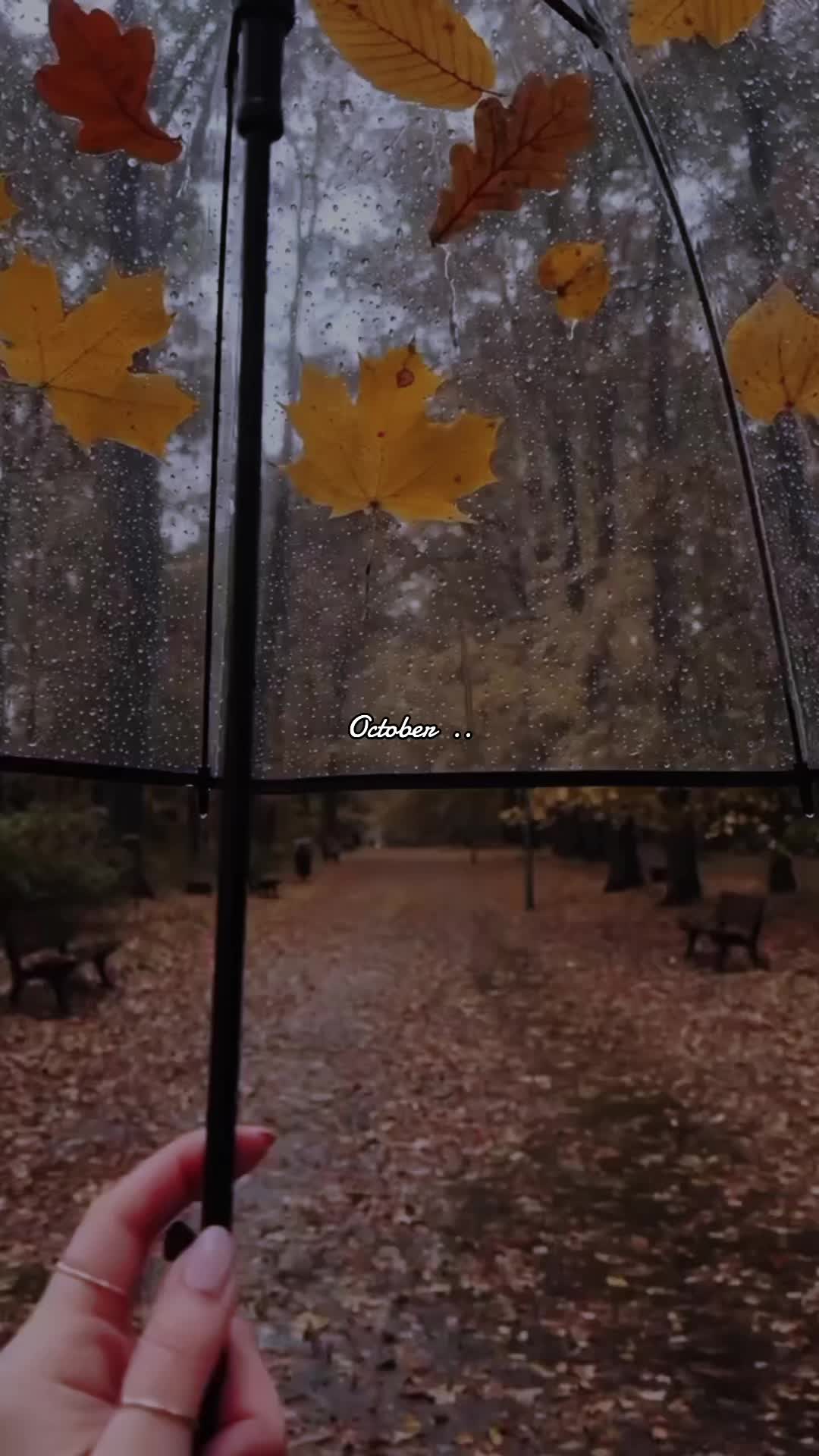 @no24n20
