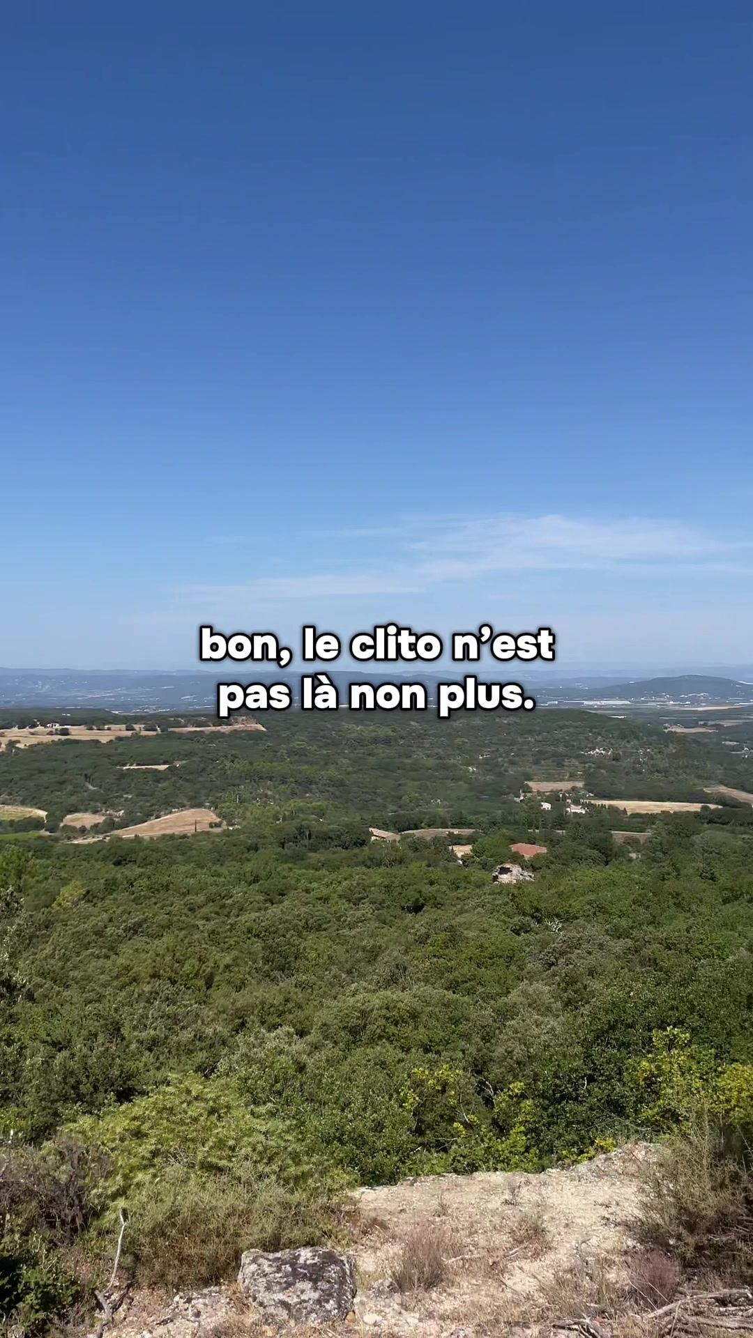 @matthiasletrocquer