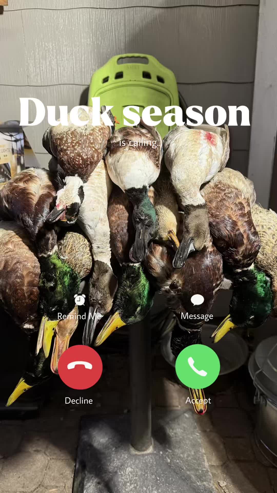 @Mallard Smacker Lanyards