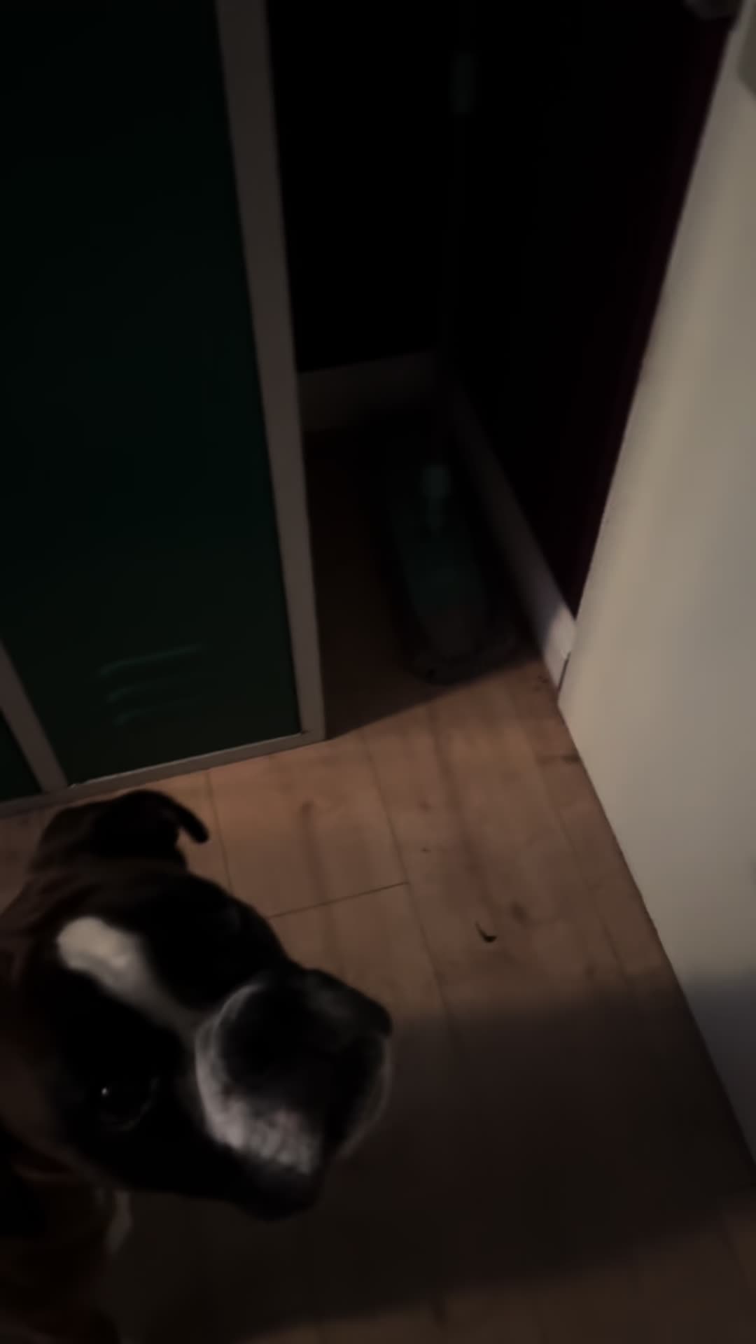 @TypischDori