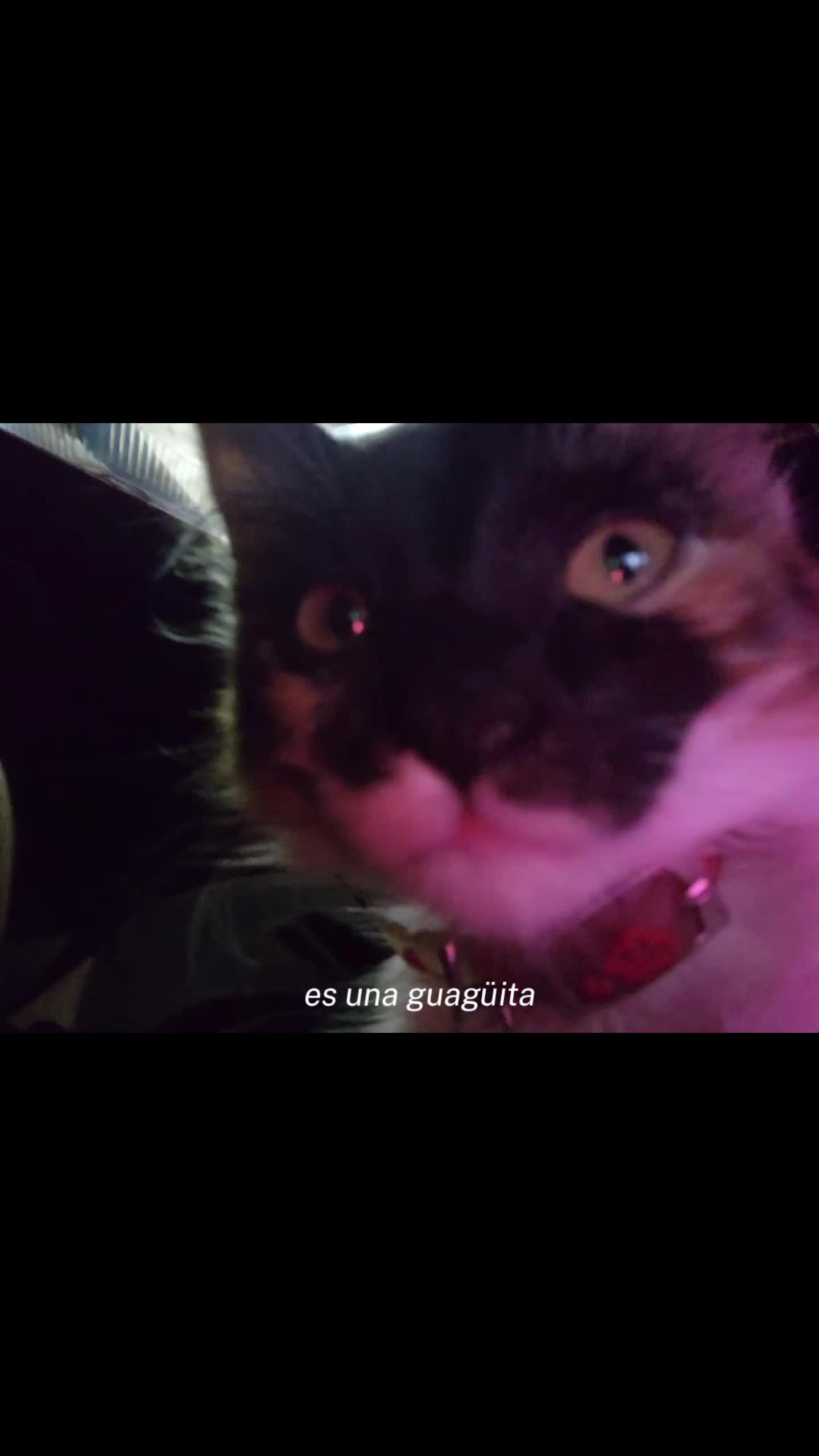 @Ari