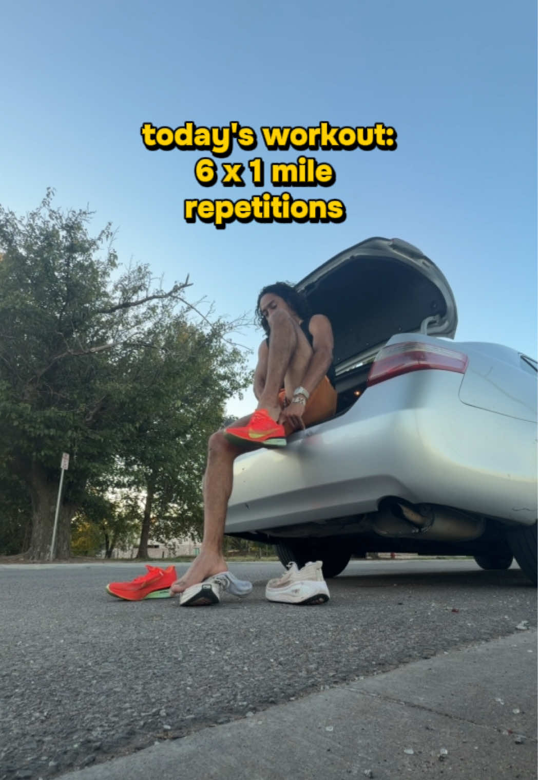 @evert silva
