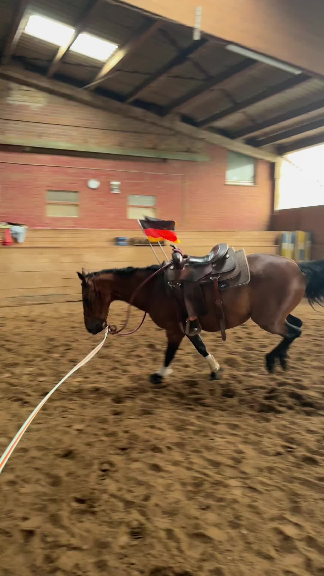 @Nebel Performance Horses