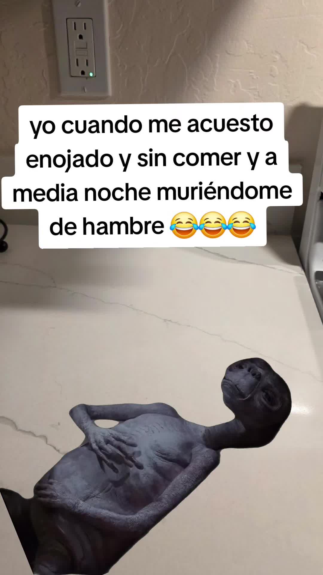 @pollo 🐣