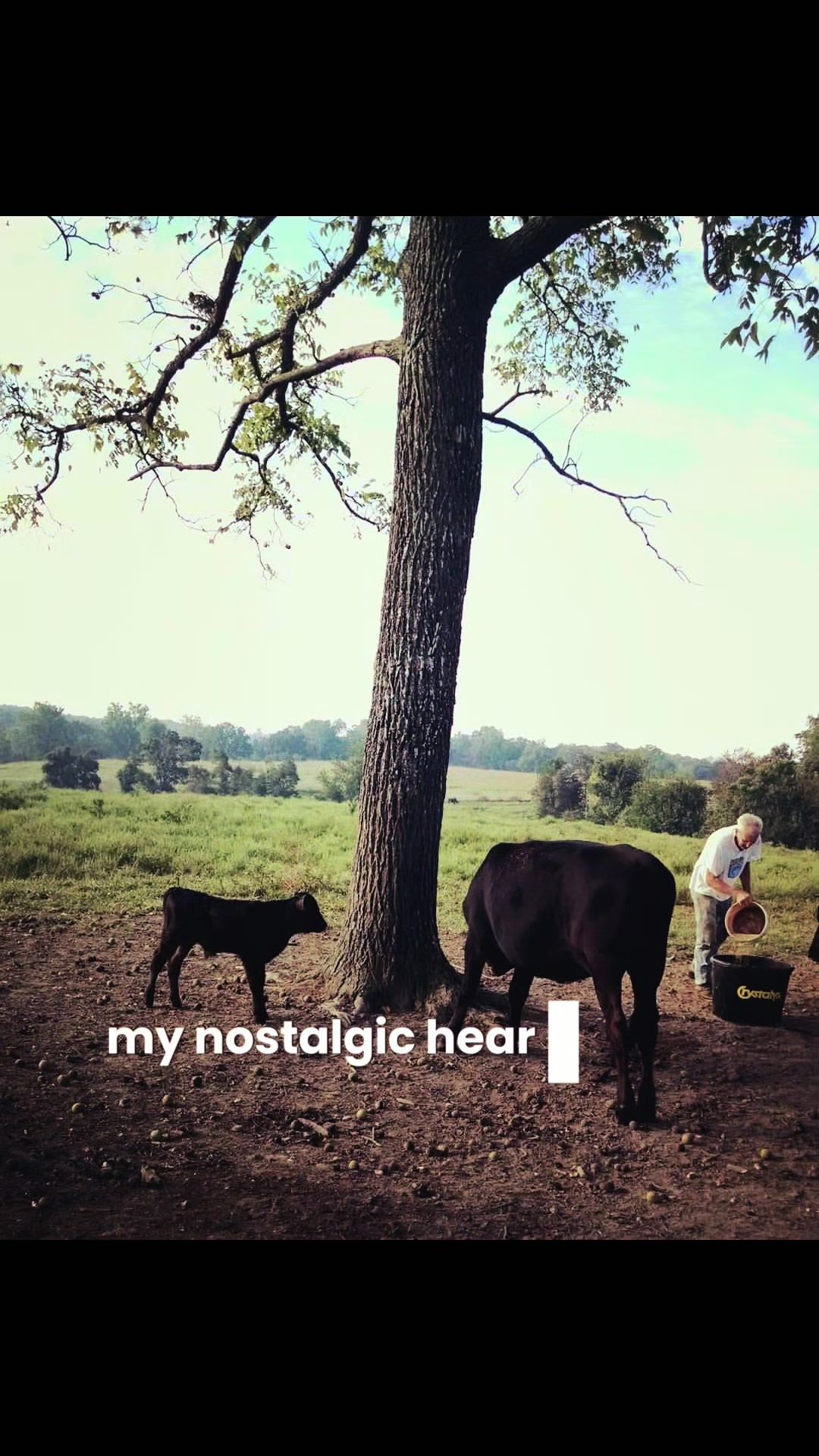 @farm girl & Grandad Jim