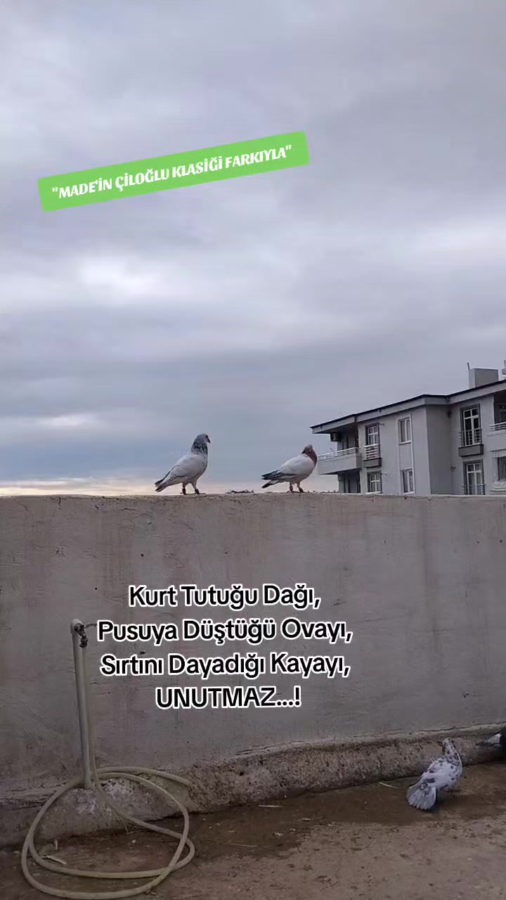 @ÇİLOĞLU KLASİĞİ