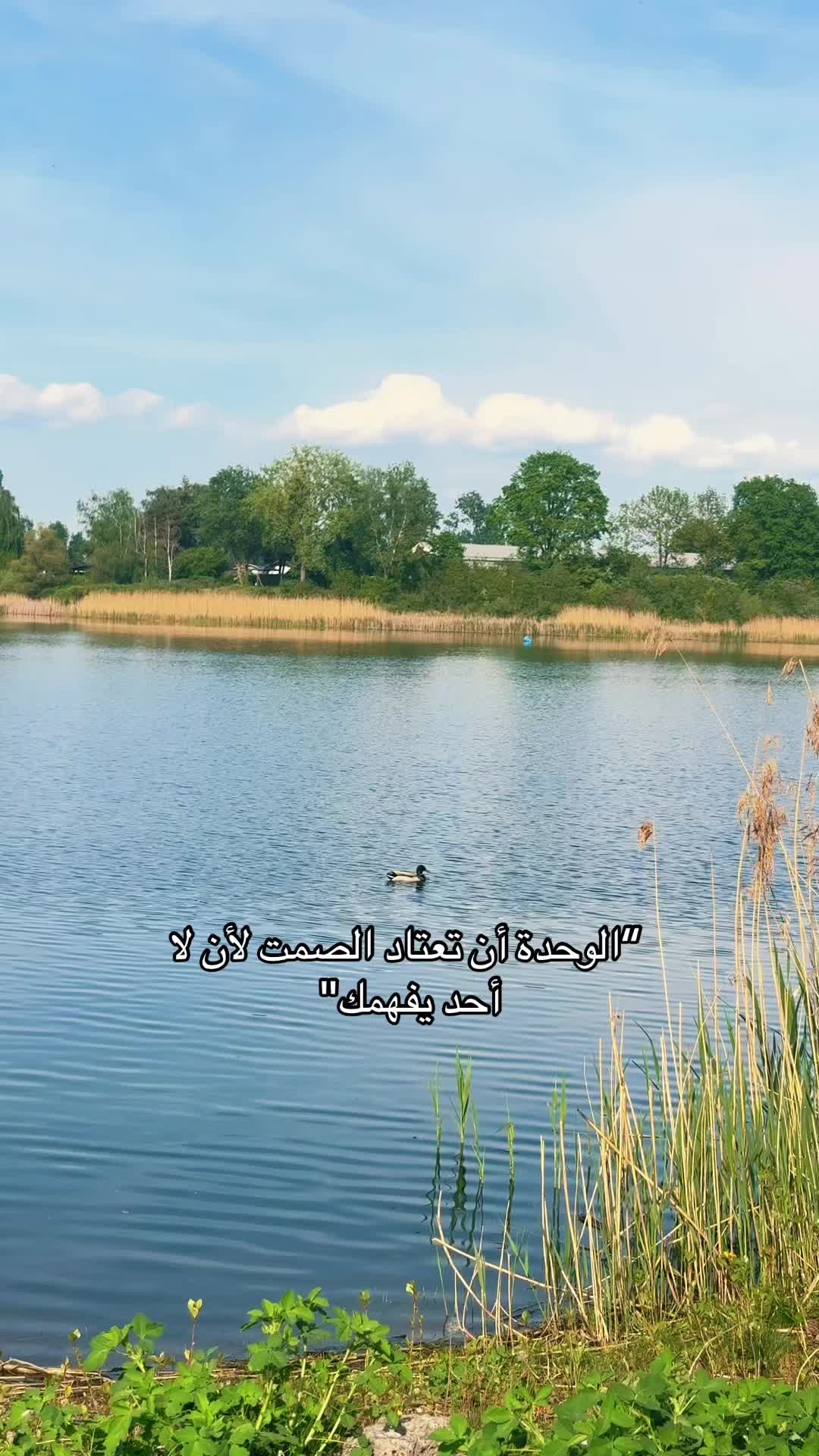 @🌸༻ دِمَشْقِيَّةُ الْهَوَى ༺🌸
