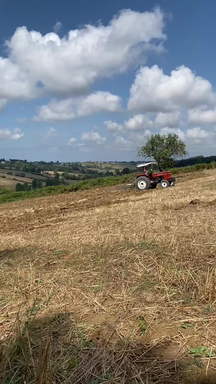 @ibrahimcelik55