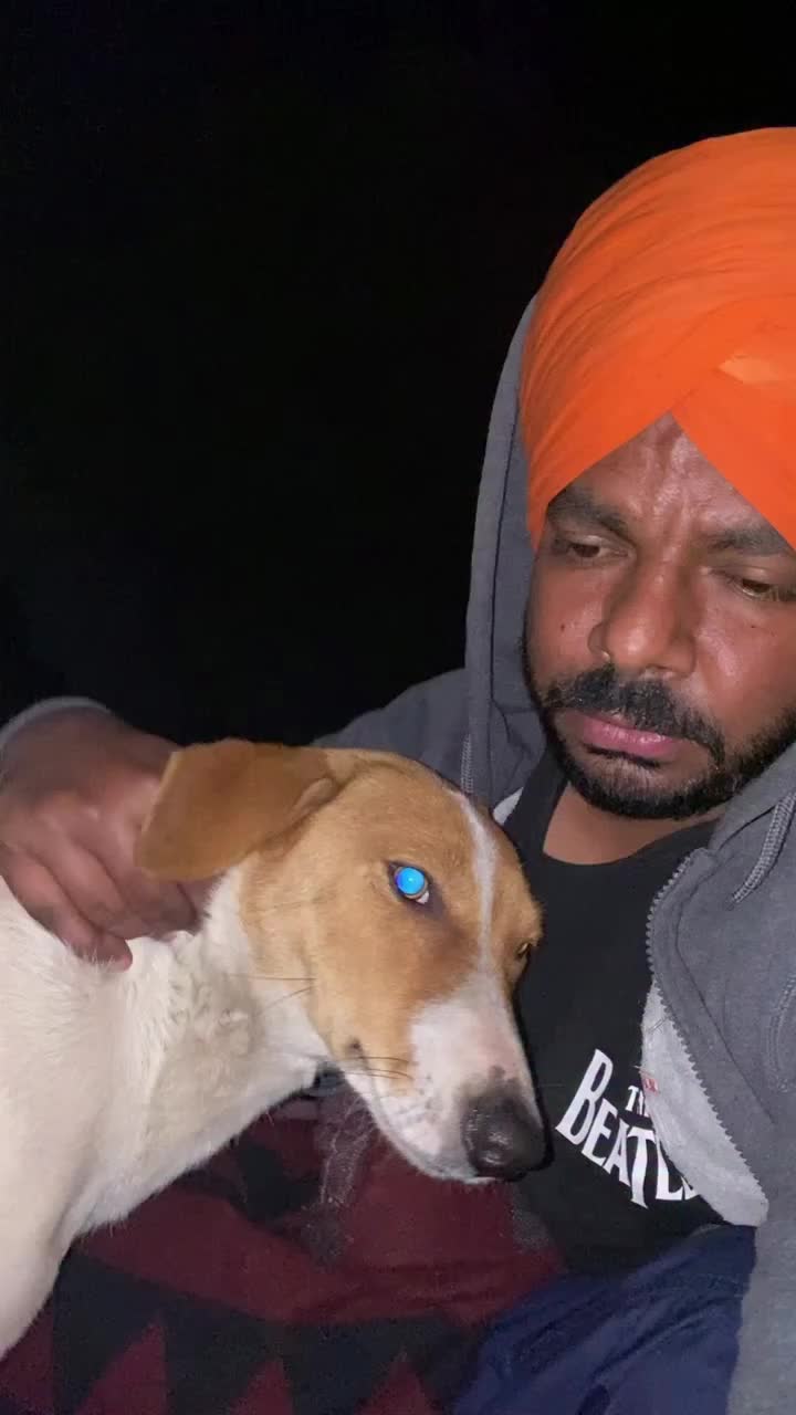@PUNJABI TORQUE