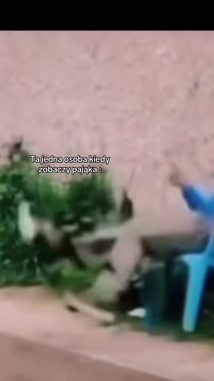 @𝄃𝄃𝄂𝄂𝄀𝄁𝄃𝄂𝄂𝄃
