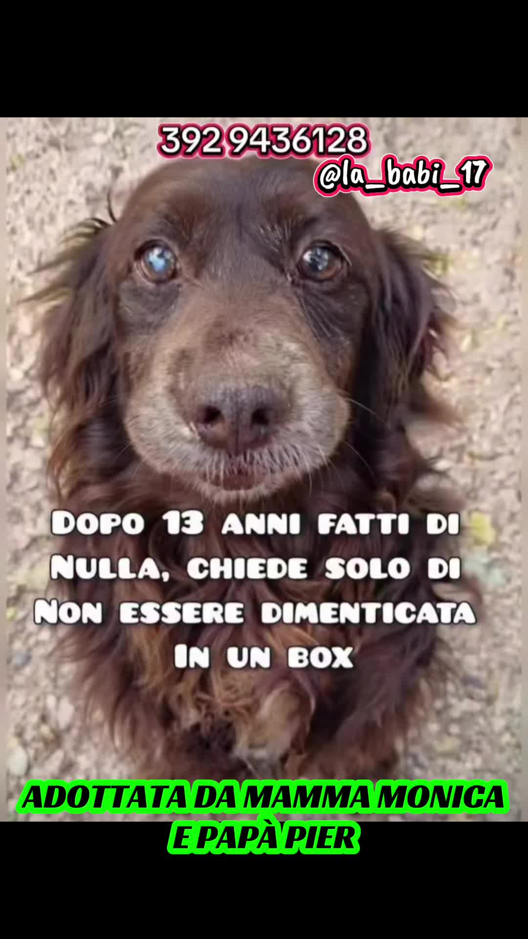 @la_babi_17