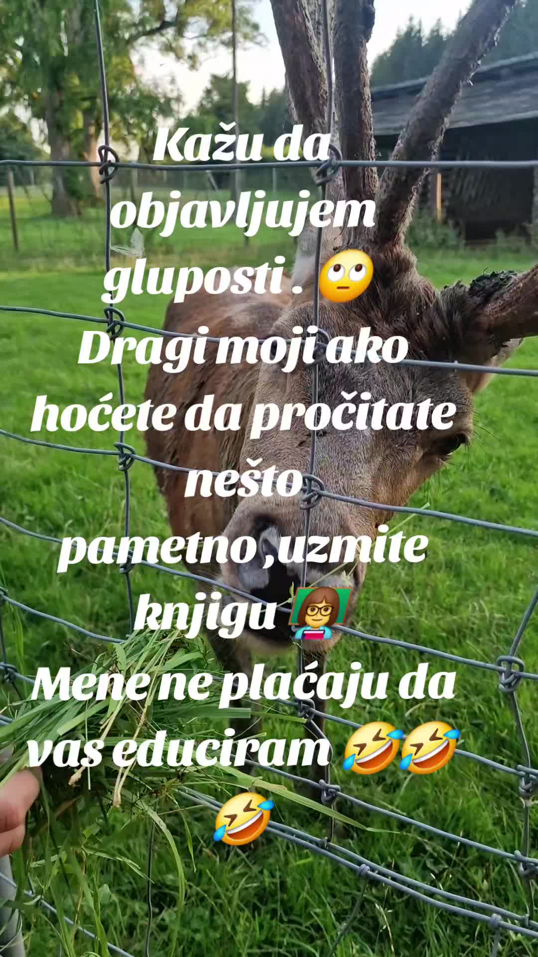@Bosanka_🇧🇦U🇧🇦_srcu 🌷