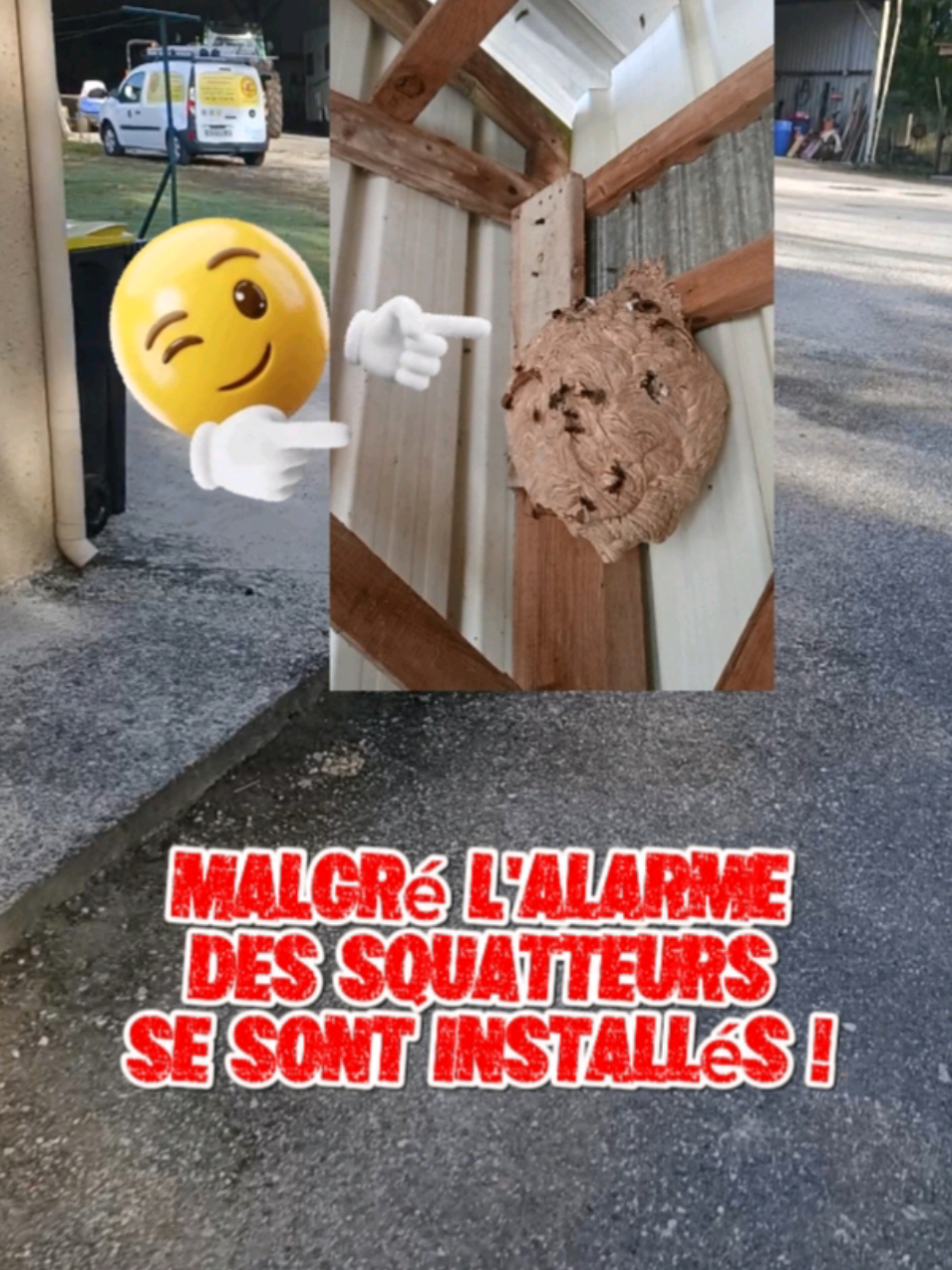 @Médoc Guêpes Frelons Services