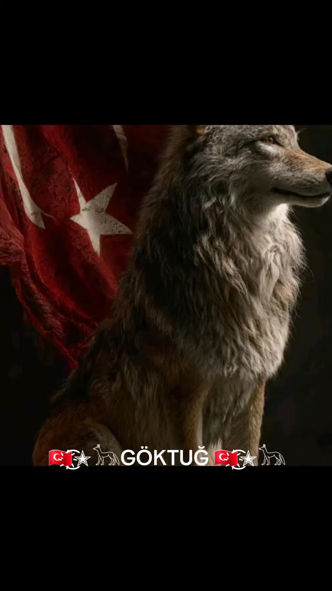 @🇹🇷҉͜͡✭𓃥G&Ouml;KTUĞ 🇹🇷҉͜͡✭𓃥