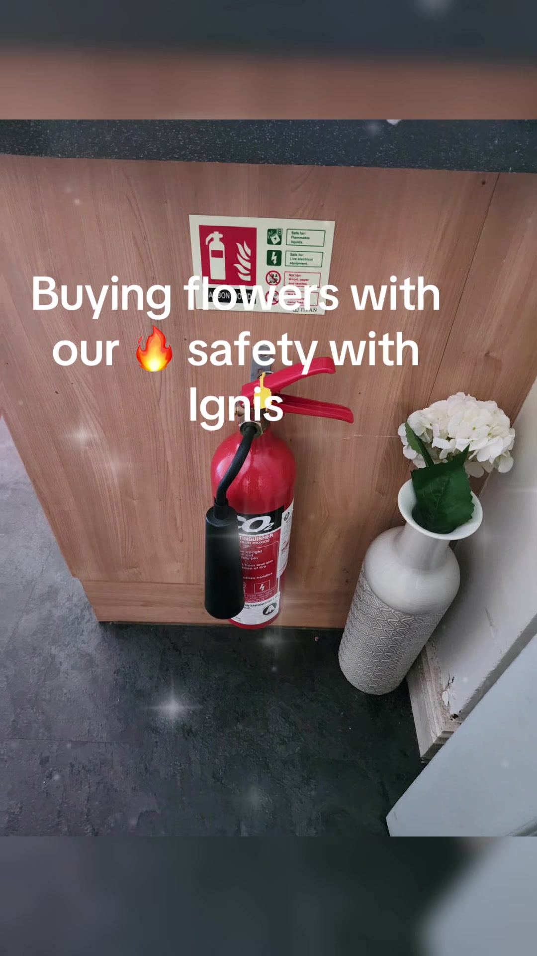 @ignis4156