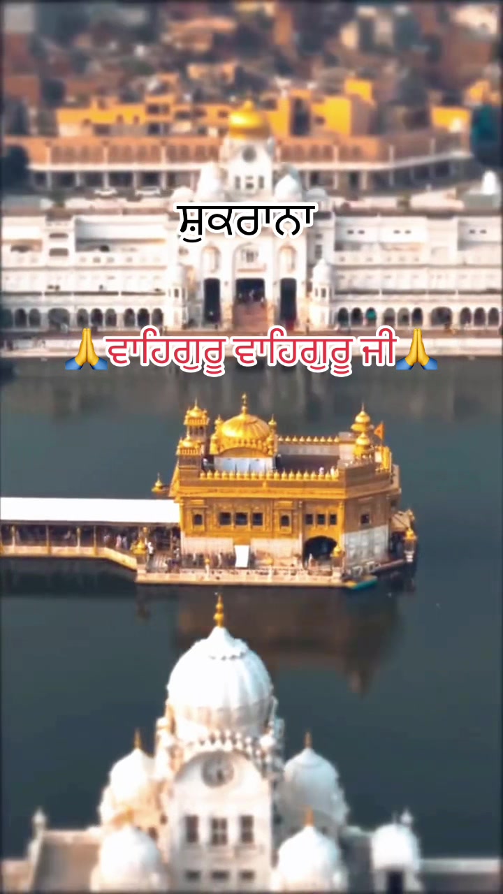 @sharanjitcheema0