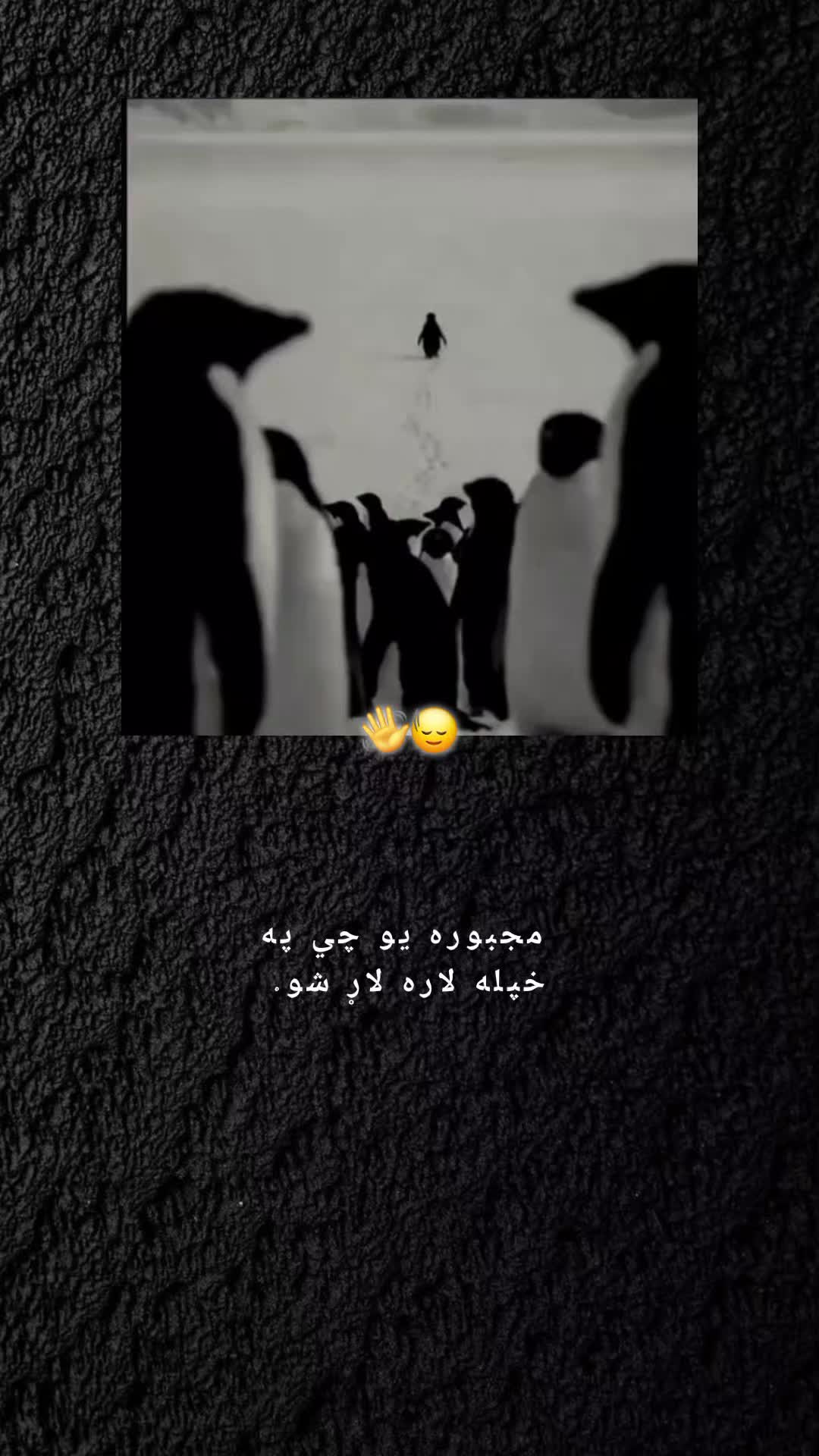 @ཀོ﮼رَهـبـ🦢ـرཀོ